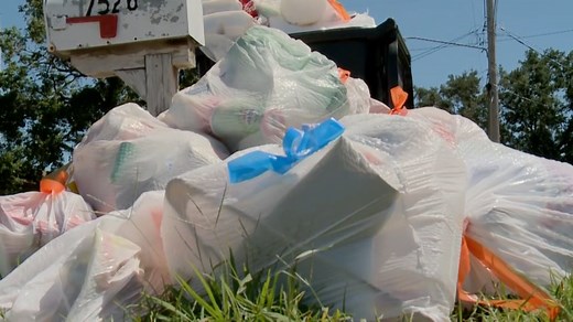 Stench of Hurricane Ida lingers as New Orleans residents go weeks without trash pickup