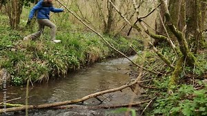 A gentle stream meanders through a verdant woodland, with fallen branches and lush foliage framing its tranquil flow