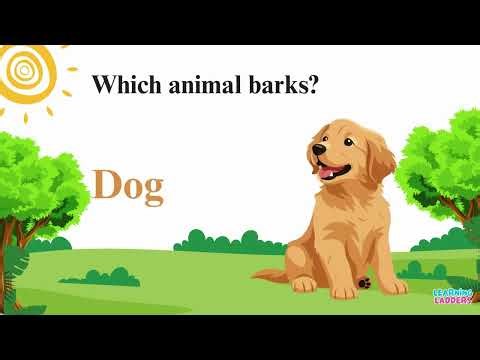 Can You Guess the Animal? 🐘🐯 | Fun Quiz for Kids with Answers