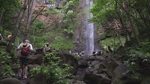 Lihue , Hawaii , United States - 09 02 2021: Hawaii, USA - September 2021: Hikers Walking Towards Raging Waterfall In a Forest of Green Foliage on the Island of Kauai in Hawaii