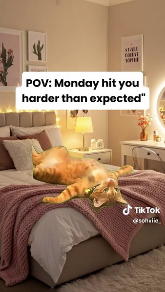 Monday Memes That Hit Hard