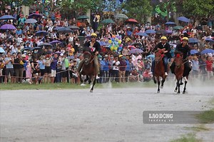Hàng nghìn du khách tham dự giải đua ngựa độc đáo tại cao nguyên Bắc Hà