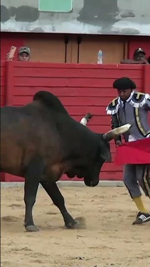 🚨🔥 Corridas de Toro 2026 Plaza Eduardo Martínez Lima El Seibo | DIA 1 | TORO 2