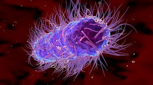 Bacteria Cells Science 3d This Image Stock Footage Video (100% Royalty-free) 7838545 | Shutterstock