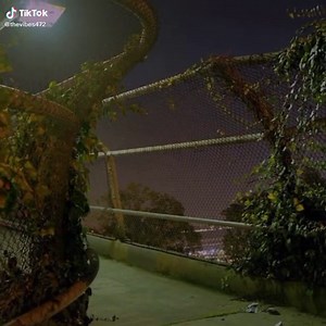 Comfortable Liminal Space in the Forest: Dreamcore and Weirdcore Vibes
