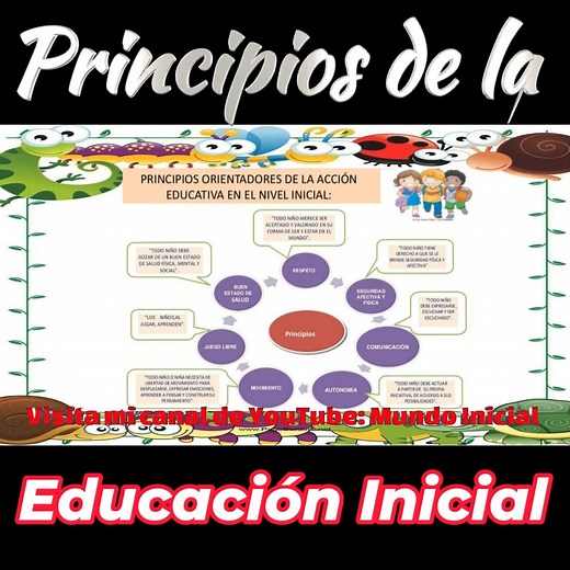 Los PRINCIPIOS de la educación INICIAL que orientan la acción educativa. Descubre los principios fundamentales que guían la educación inicial en este video. Aprende cómo estos principios orientan las prácticas educativas y contribuyen a establecer bases sólidas para el aprendizaje y crecimiento de los niños en la etapa preescolar. #mundoinicial #educacioninicial #maestrasdeinicial | Mundo Inicial