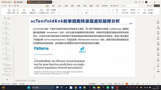 17.单细胞虚拟敲除