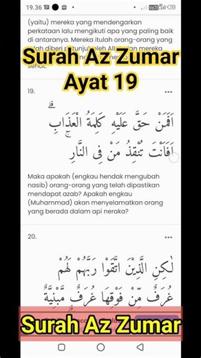 Surah Az Zumar Ayat 19 Reading Surah AzZumar #short #azumar #surahazzumar #quran #learnquran #learn