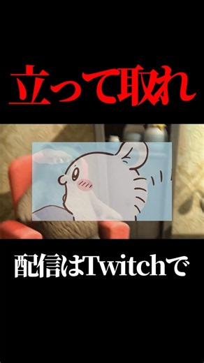 【La madriguera】立って取りに行けよｗｗｗ#shorts