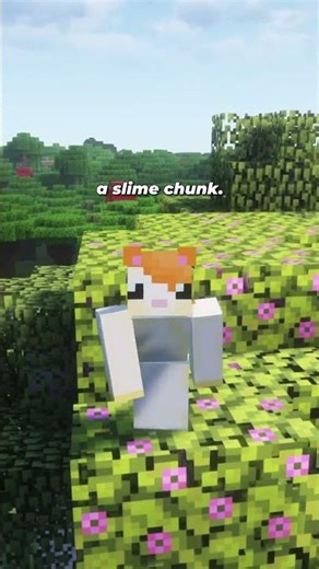 Slime Chunks Are Different in Bedrock And Java