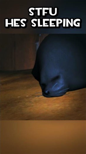 stfu hes sleeping #fyp #viral #tf2 #meme #sfm #animation