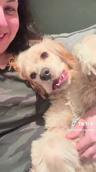 PretzelBites on TikTok