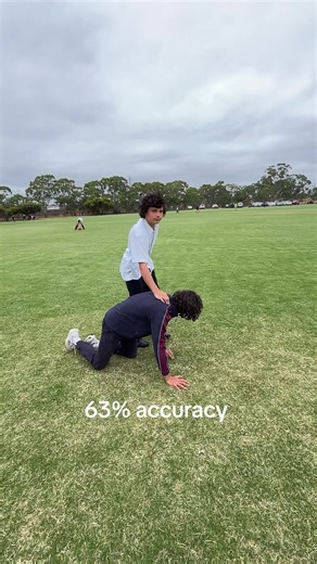 Understanding Alpacas: The Gentle Giants