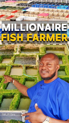 555K views · 10K reactions | How A Nigerian Man Became A Millionaire...