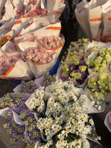 A Beautiful Sunset with Roses 🌹