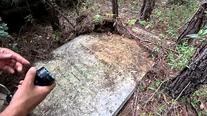 When a rural cemetery loses its last caretakers