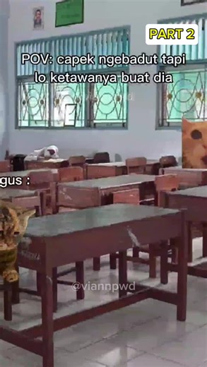 Sad Cat Memes Compilation: Agus Mode Part 2