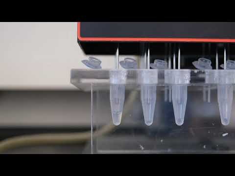 How to: Use a sample concentrator to dry solvent samples