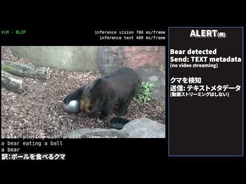 Di1 × VLM 熊検知デモ | エッジAIでリアルタイム認識・危険検知