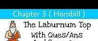 The Laburnum Top Short Questions and Answers