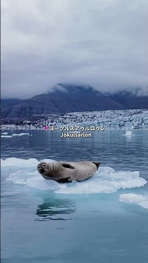 ✨2026年、忘れられない旅へ！感動が止まらないアイスランドの絶景#絶景 #アイスランド旅行 #観光 #絶景スポット #ご褒美旅行