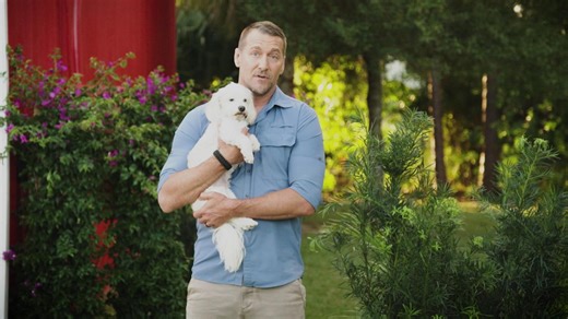 Lucky Dog: Down Under:Lucky Dog Down Under - Kirk & Milo