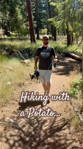 Hiking in Idaho with your Potato #corgi