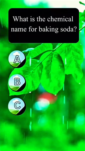 science quiz improve your knowledge with us can you guess the correct answer?#TestYourBrain #viral #fyp #BrainTest #MindQuiz | Nova Quiz