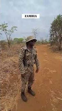 🦏 I Came Face to Face with TWO GIANT Rhinos in Zambia!