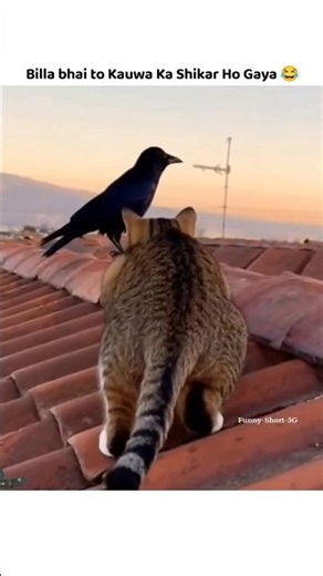 billy technologya video #short #trending #funny