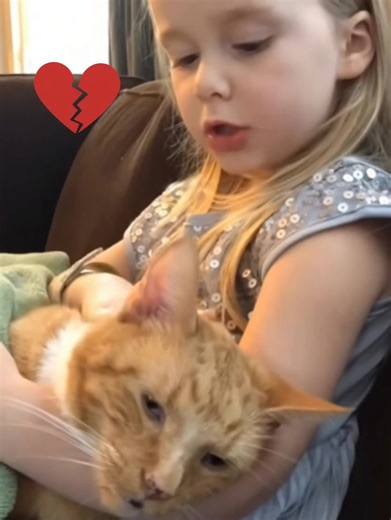 Sweet Girl Sings ‘You Are My Sunshine’ to Her Fading Furry Friend 😿💔 A Farewell That Melts Hearts 🐱🌅This Heartwarming Video Find In The First Comment⬇️⬇️⬇️ | Life Stories