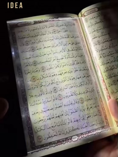 ‏كشاف القراءة الليد