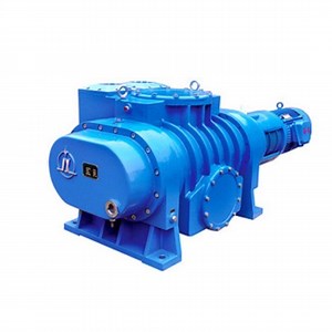 [Hot Item] Roots Vacuum Pump Rotary Portable Industrial Mini Vane Scroll Reciprocating Diaphragm Centrifugal Positive Displacement Best Suppliers DC AC Vacuum Pump