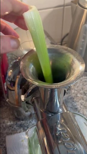 Staudensellerie Saft schnell selbst gemacht 🪴💪🎋☘️