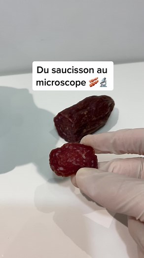Découvrez le saucisson sous un microscope 🥓🔬