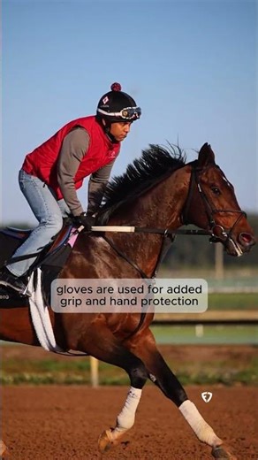 Exercise Rider and Jockey Equipment for Safety