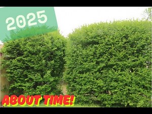 2025 - PRIVET HEDGE UPDATE