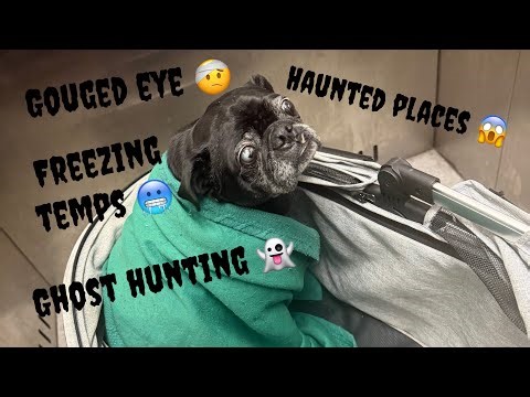 Chicago → Ohio → Chamber of Horrors | Indie Wrestling Vlog 18