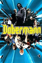 Dobermann