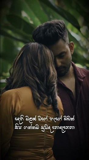 දෙහි මලක් වගේ හැගේ ඔබත් සිප ගත්තම සුවද නොදැනෙනා ❤️ #dehimalak #kingsleypeiris #sinhalasong