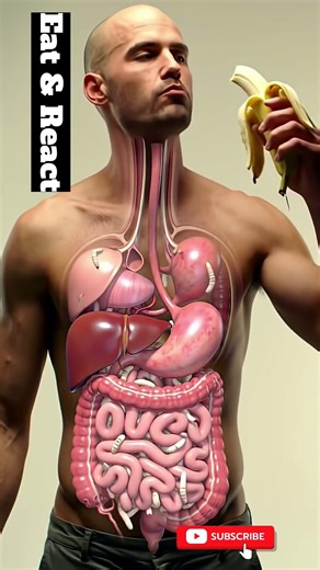 What Happens Inside Your Body When You Eat Food? 🤯 | 3D Digestive Animation #shorts