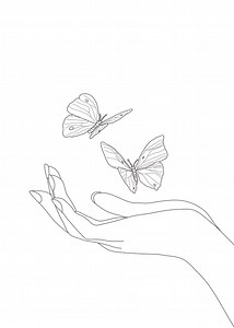 The Best 16 Butterfly Aesthetic Drawing Outline