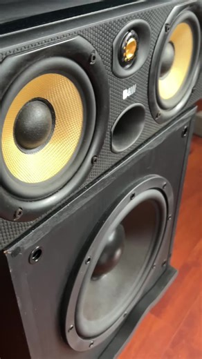 Impressive 15 Inch Subwoofer with 5 Inch Mids