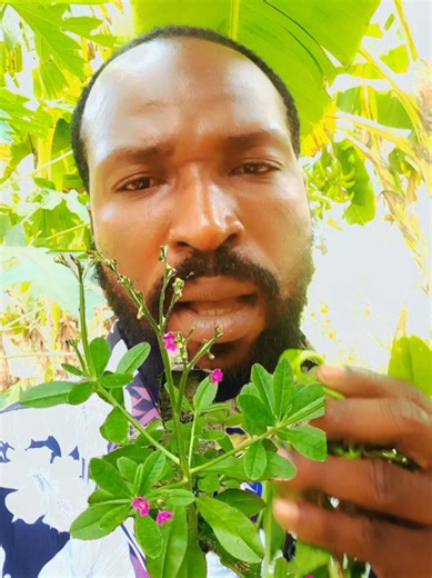 Gun Shot Protection Practices in Spirituality