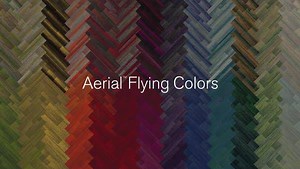 4.9K views · 28 reactions | Let color move you. Discover everything...