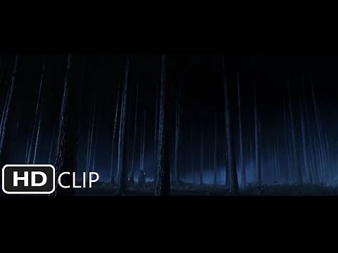 The Forbidden Forest | Harry Potter and the Sorcerer's Stone