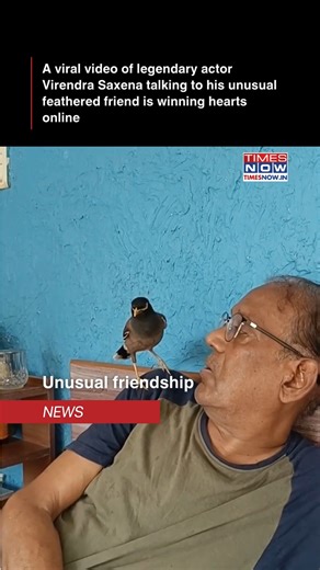 A heartwarming video of veteran actor Virendra Saxena chatting with a wild mynah bird has left the internet deeply moved. His gentle conversation with the bird, as if speaking to an old friend, is winning hearts for its quiet charm and natural connection. 🎥: @virendrasaxenna07 | TIMES NOW