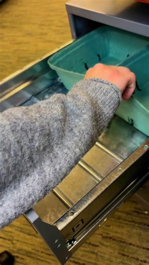 Grab, rip, pour, and shake. AriZona Green Tea Stix bring the refreshment of America’s best-selling green tea to your water bottle. With only 5 calories per serving of ready-to-mix real Green Tea with Honey, it’s a must-add to your daily carry. | Arizona Iced Tea