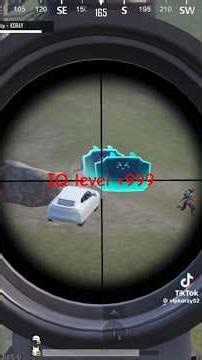 Incredible IQ Levels Explained