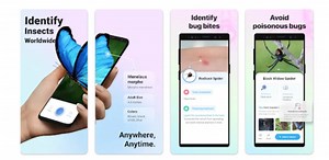 Kenal pasti serangga dengan mudah dengan aplikasi Picture Insect: Bug Identifier | SinarPlus